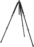 Slik 700DX Pro Tripod Legs (Black)