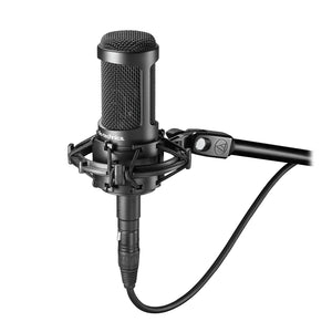 Audio-Technica AT2050 Multi-Pattern Condenser Side-Address Microphone - The Camera Box